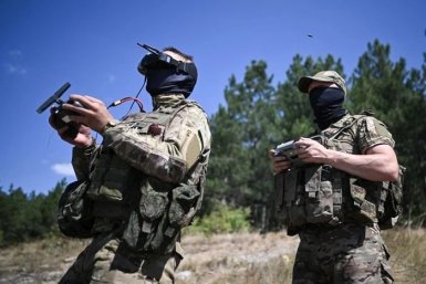 Когда %22птицы%22 под присмотром %22Лиса%22
