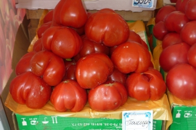 Самые вкусные помидоры, по уверениям продавцов, стоят до 300 рублей за кг Ирина Чувасова, KrasnodarMedia