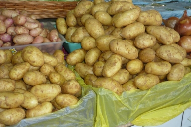 Свежий картофель такого размера можно купить по 100-120 рублей за кг Ирина Чувасова, KrasnodarMedia