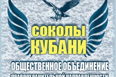 Эмблема Соколов Кубани С сайта Краснодарского регионального отделения ЛДПР