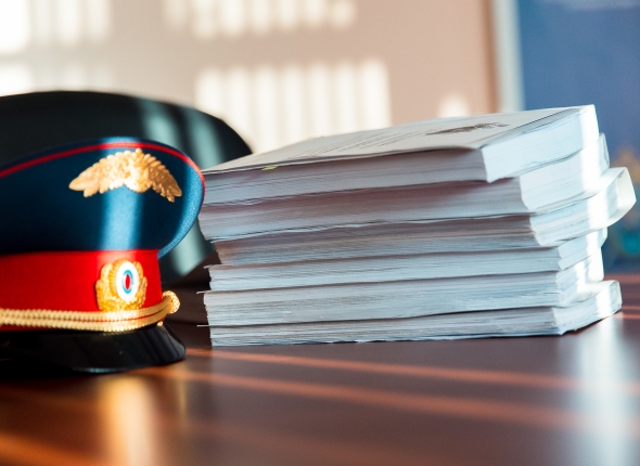 Бастрыкин затребовал доклад о нападении собак на женщину на Кубани