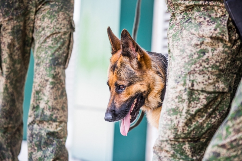 Силовики по подозрению во взятке задержали в Краснодаре директора департамента транспорта Юлия Никитина, ИА PrimaMedia