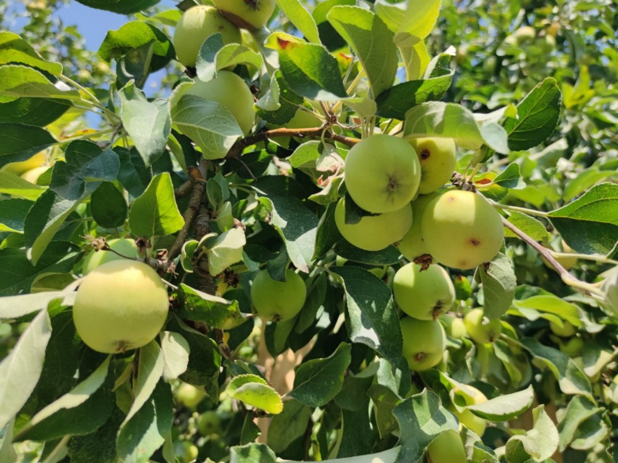 тематическое фото pxhere.com