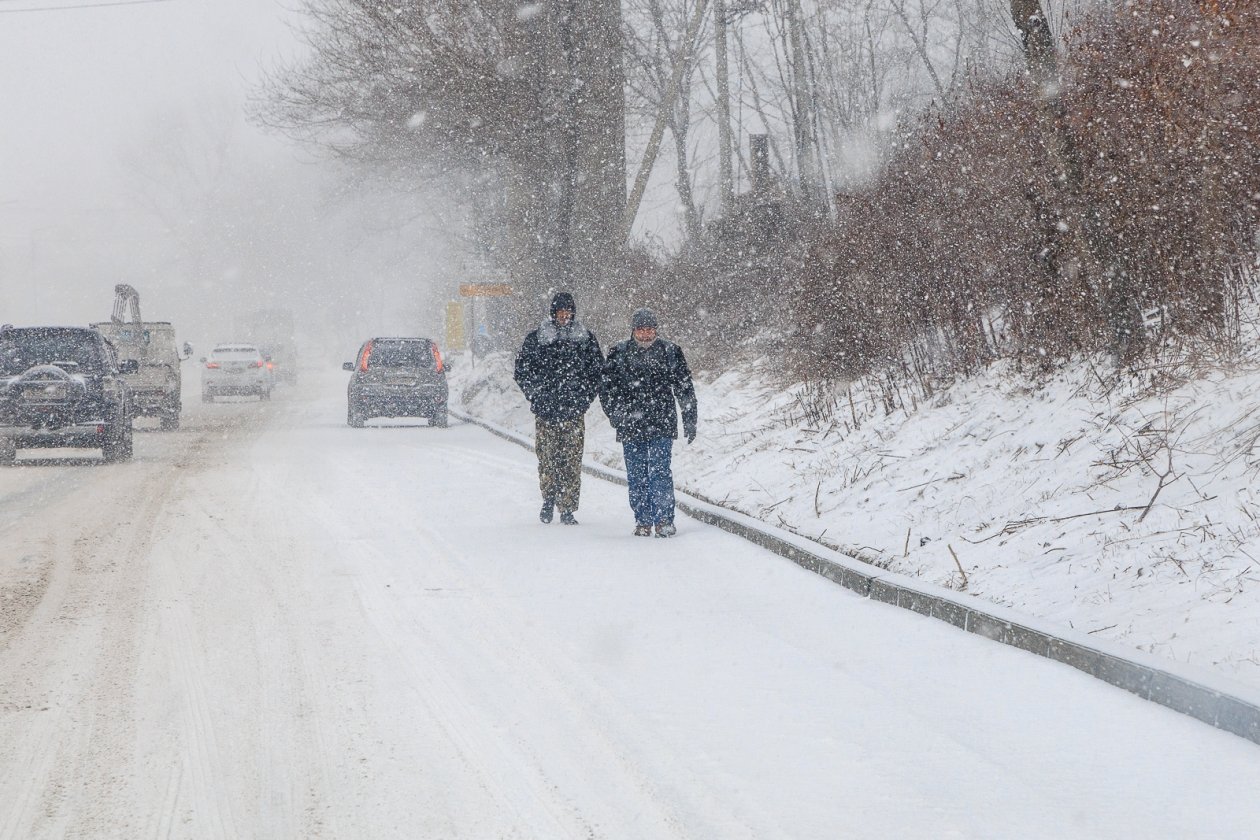 Февральский &quotледниковый период&quot на Кубани в Гидрометцентре назвали редким Евгений  Кулешов