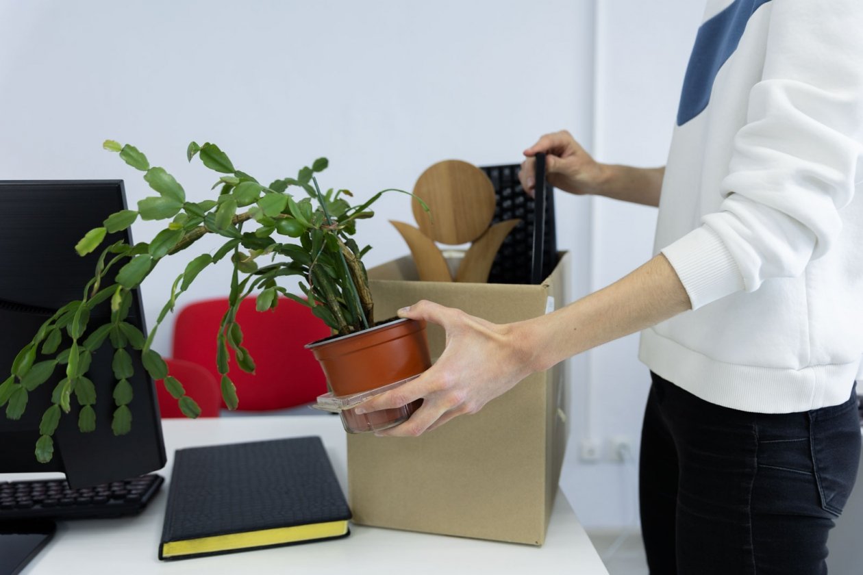 Секреты, которые не стоит выносить из офиса Артём Хорошилов  , ИА Stavropol.Media