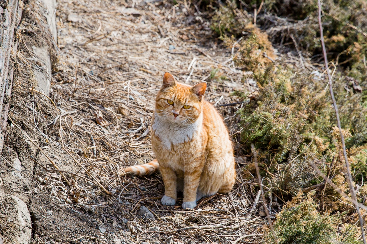 На Кубани температура воздуха приблизилась к норме после аномалий Мария Смитюк