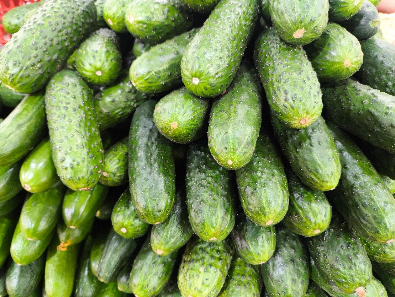 Сажаю только эти 3 сорта огурцов - и собираю урожай ведрами до самой осени: хрустящие, ароматные и без горчинки ИА PrimaMedia