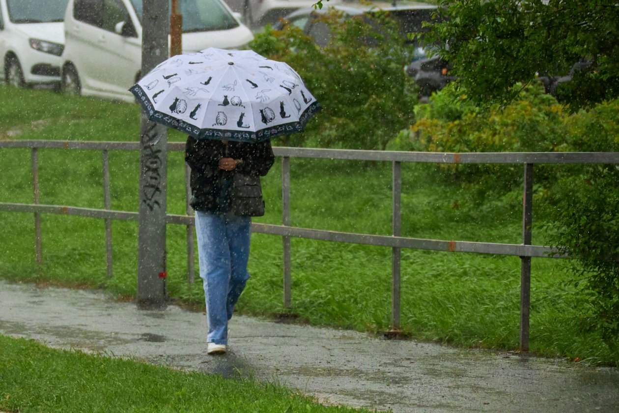 Дожди зальют Краснодарский край в День смеха Дмитрий Осипчук