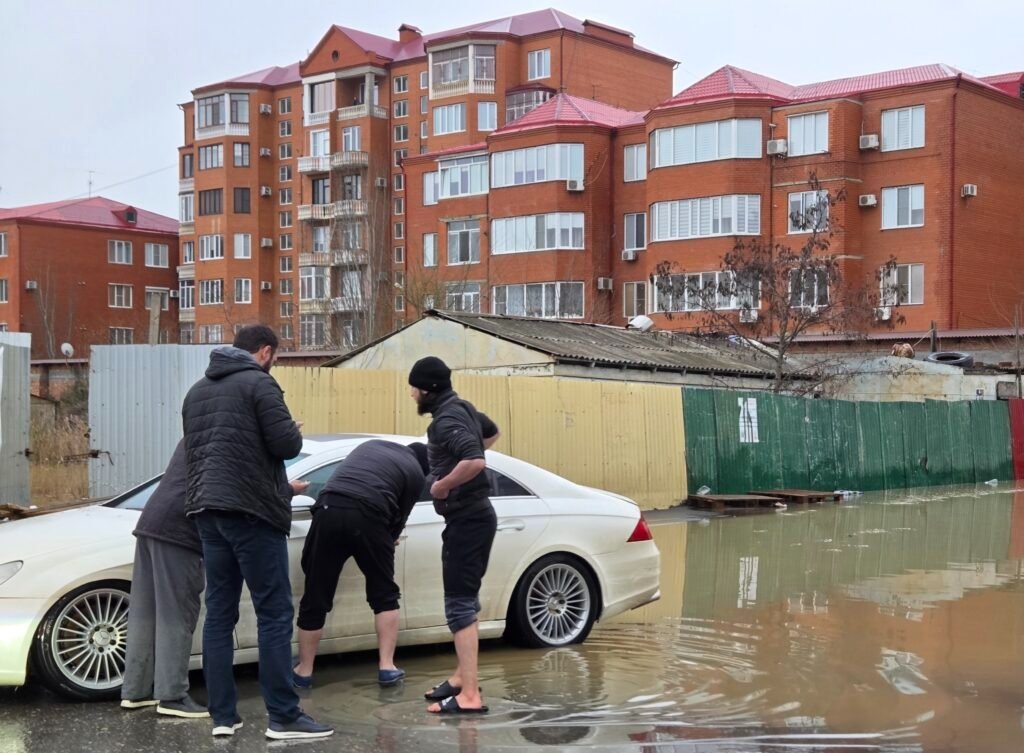 Мирмол