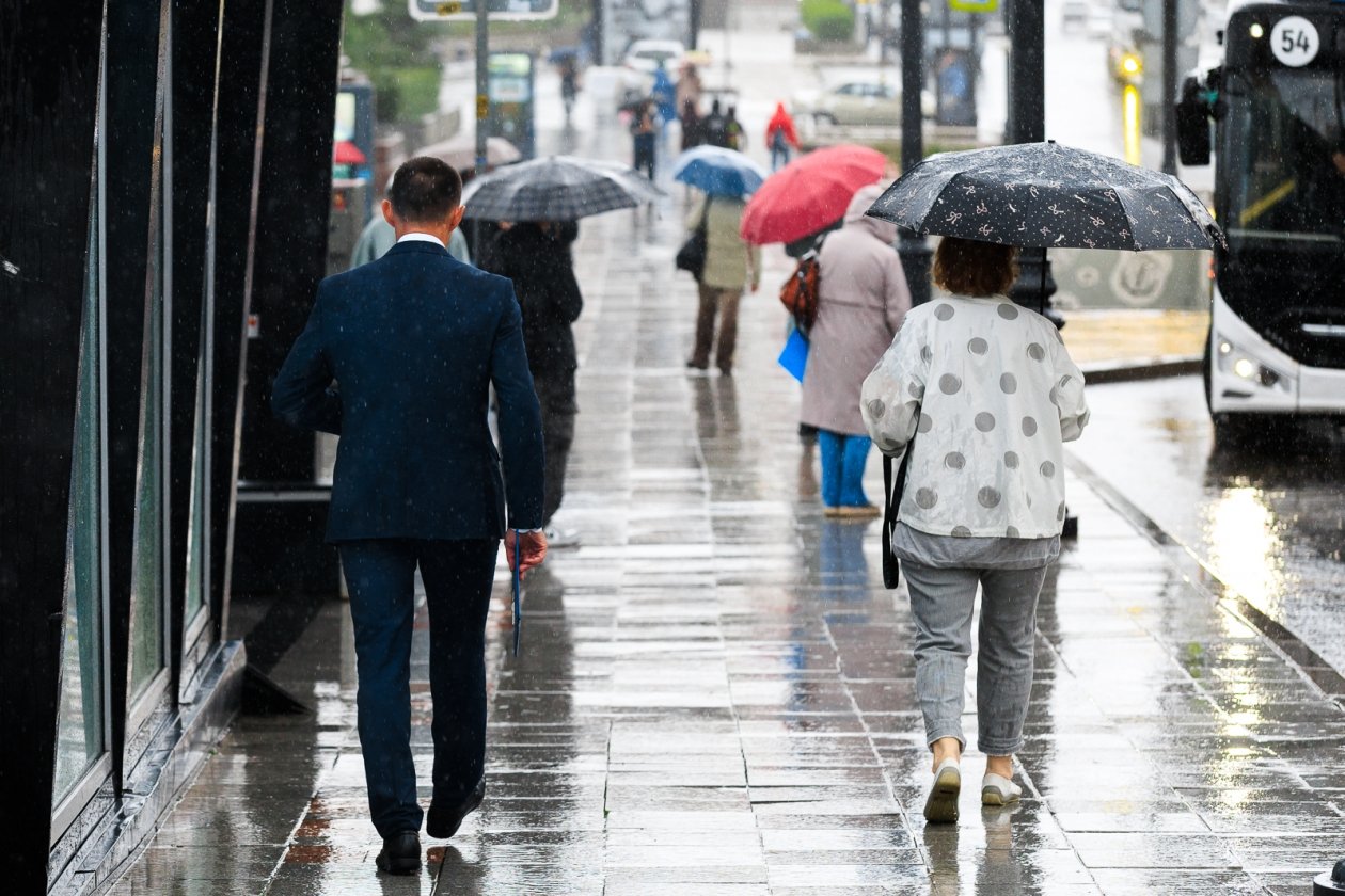 Воздух прогреется до +17°C Евгений Кулешов