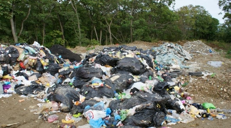 Кубань заняла третье место по числу нелегальных свалок среди регионов РФ Сергей Ланин