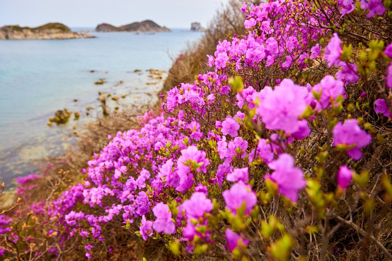 Синоптики прогнозируют на Кубани потепление и штормовой ветер Дмитрий Осипчук