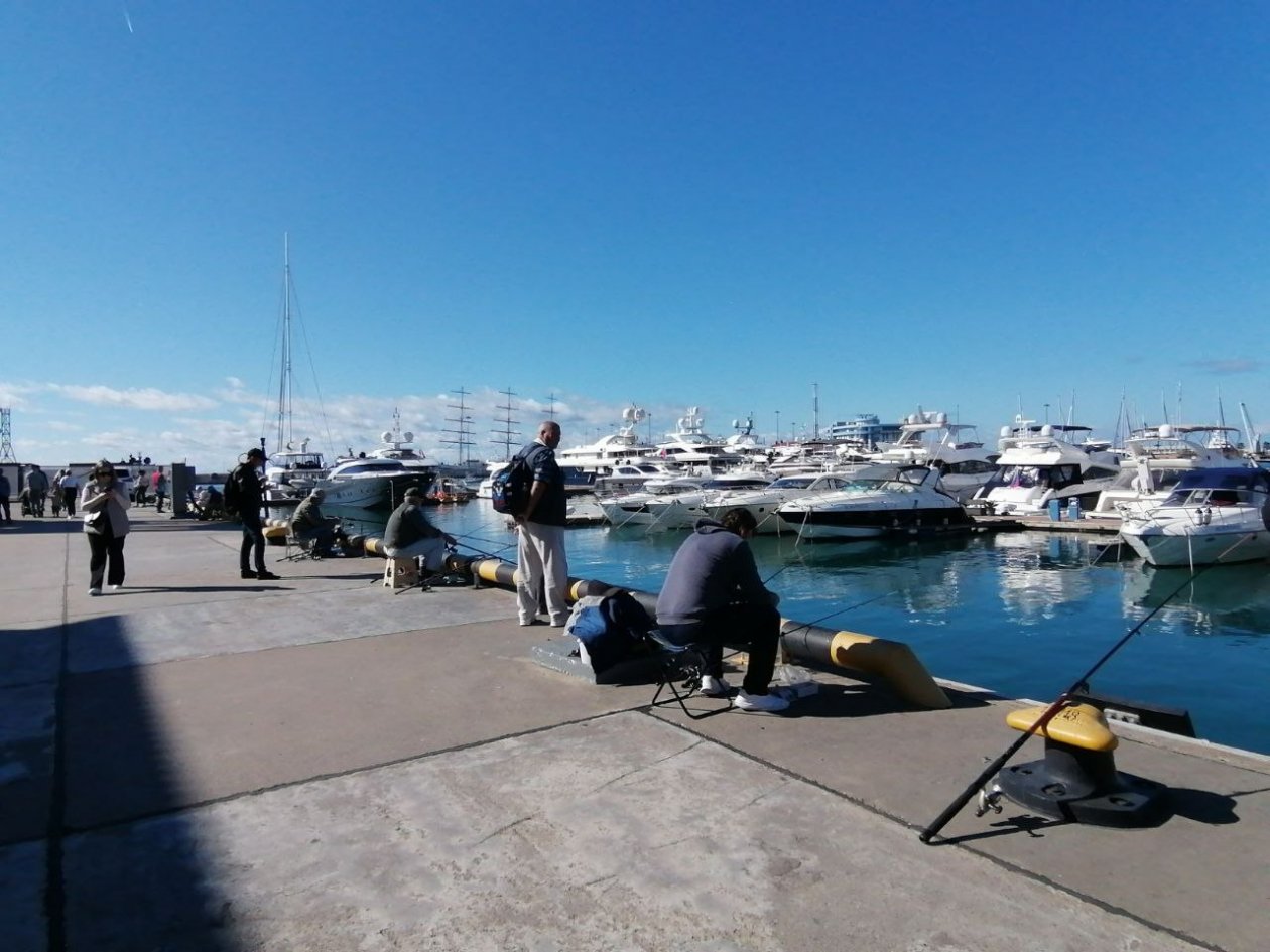 Эксперты назвали самые популярные города Кубани для отдыха в майские праздники Карина Подкина
