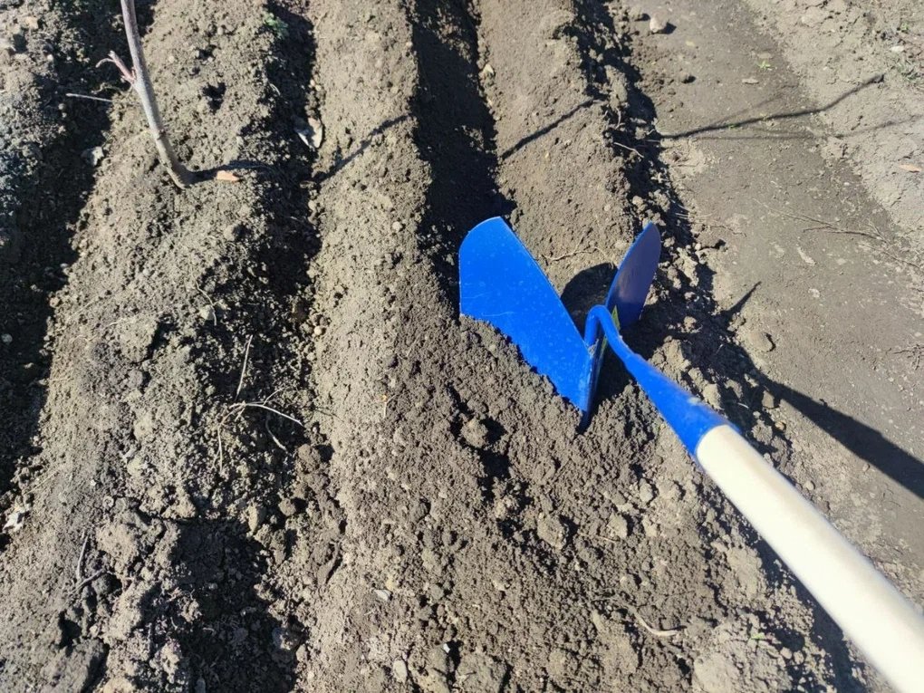 Почва ИА KrasnodarMedia