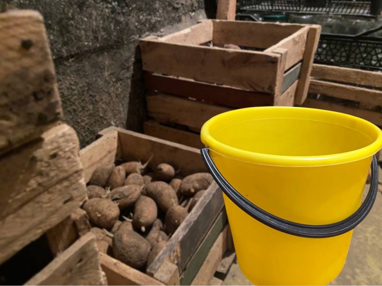 Погреб ИА KrasnodarMedia