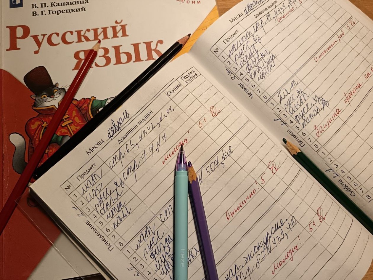 Даже телеведущие спотыкаются, а вы расставите ударения в этих словах? - тест по русскому языку 