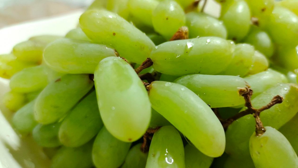 ИА KrasnodarMedia