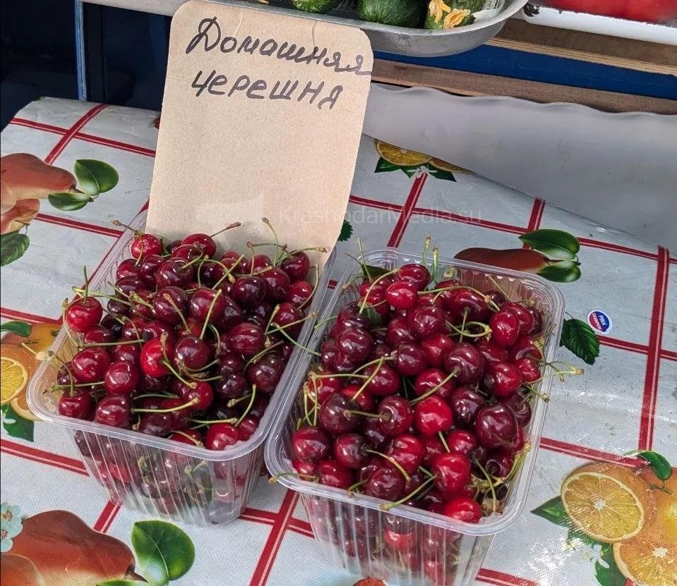 Светлана Юдина
