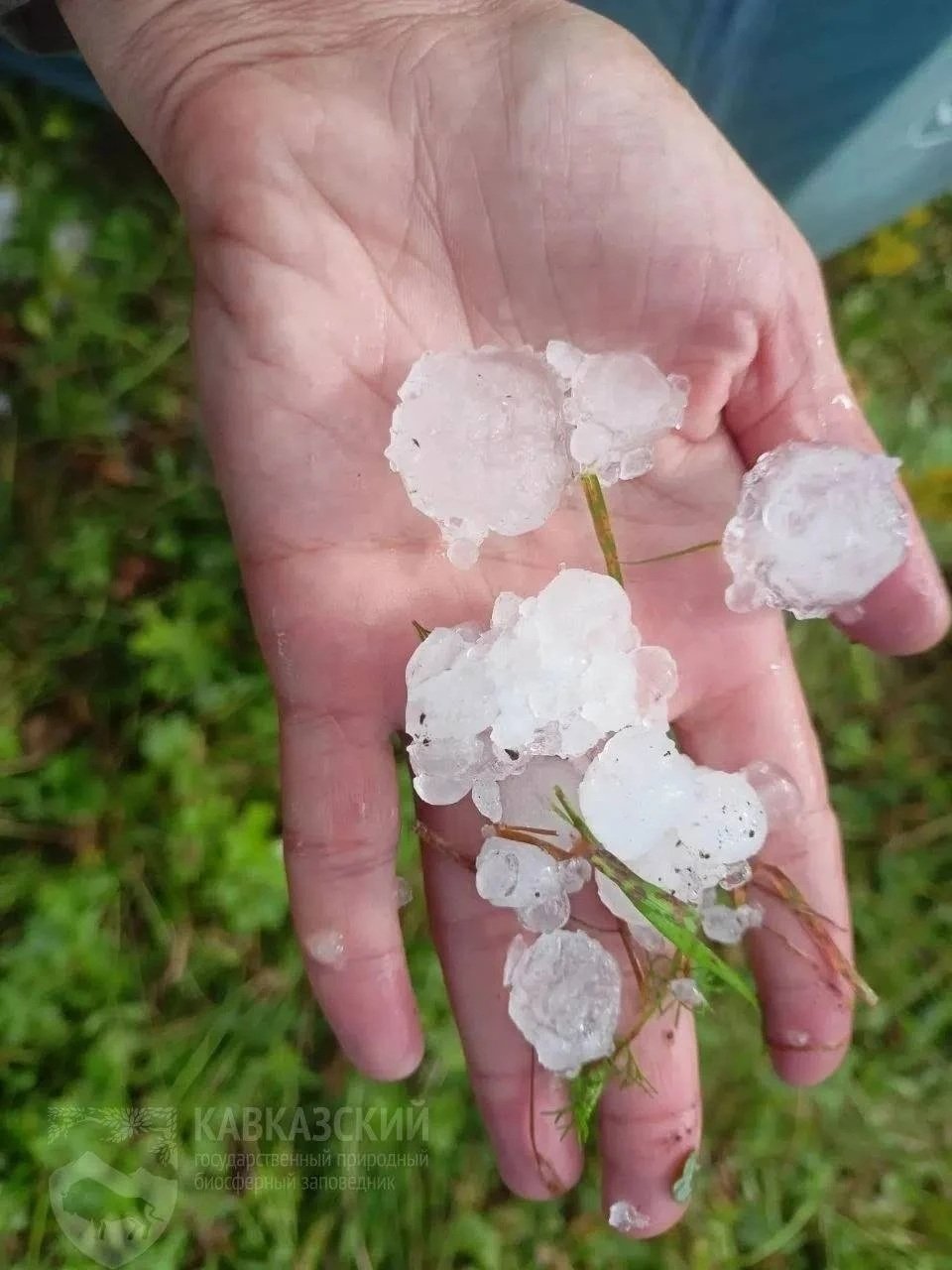С неба падали крупные и острые ледяные градины