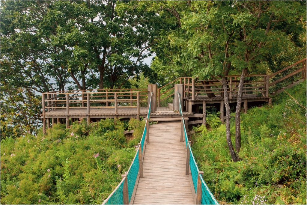 У Лукоморья дуб зеленый, и не только