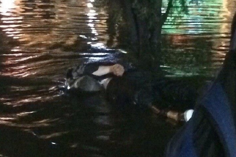 В Краснодаре в центре города во время ливня погиб студент  Из группы Краснодарности – Новости Краснодара в Одноклассниках