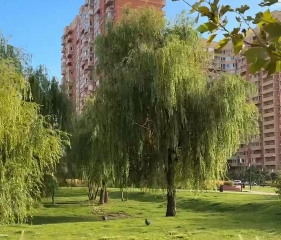В сквере &quotИзумрудный&quot в Краснодаре установят 25 камер для безопасности max.ru/emnaumov
