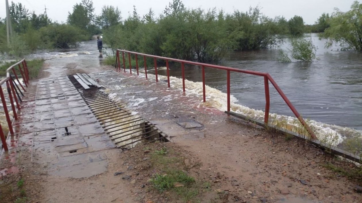 На Кубани у села Молдовановка расчистят заросшее русло Шапсухо t.me/kondratyevvi
