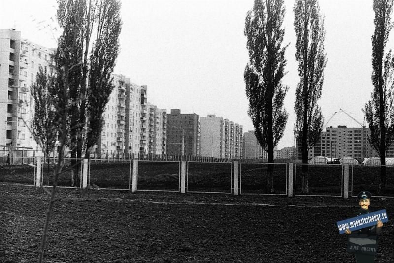 Фото дня