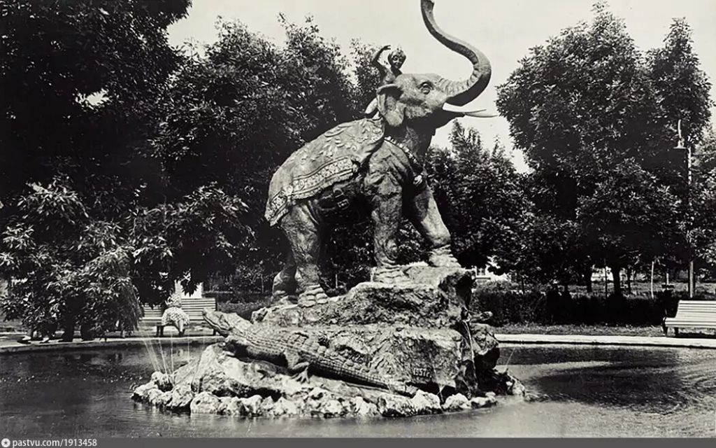 Фото дня
