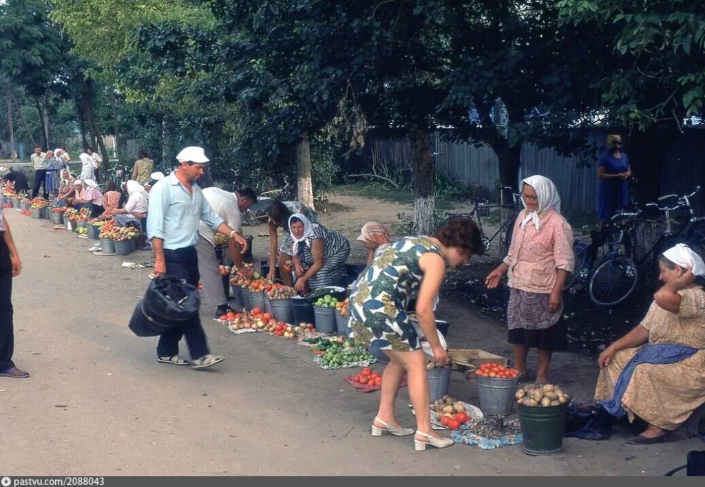 Фото дня