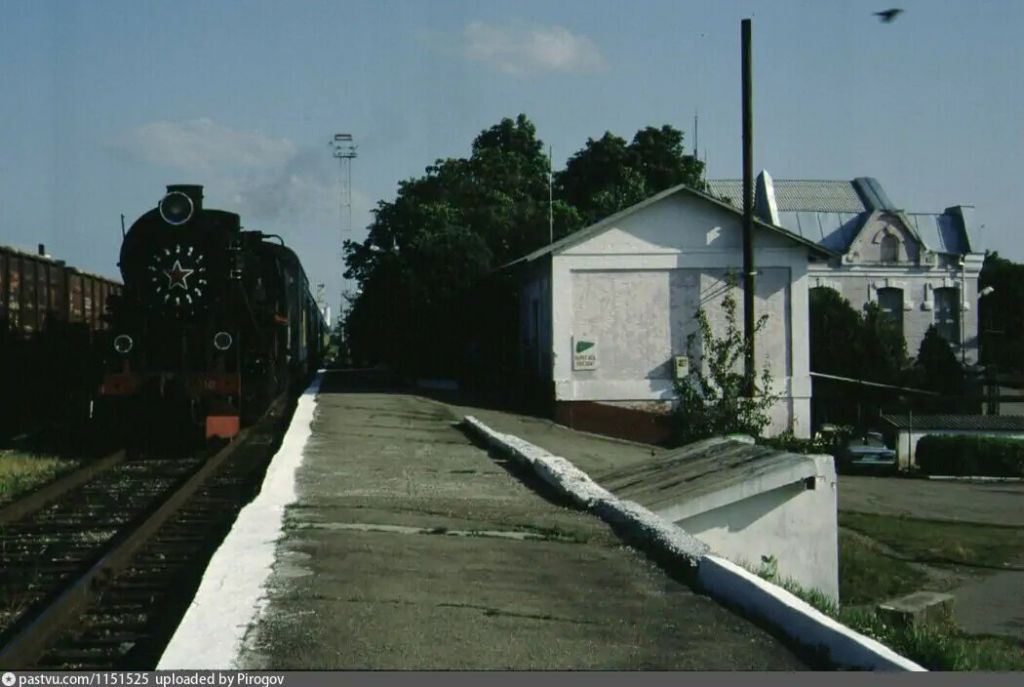 Фото дня