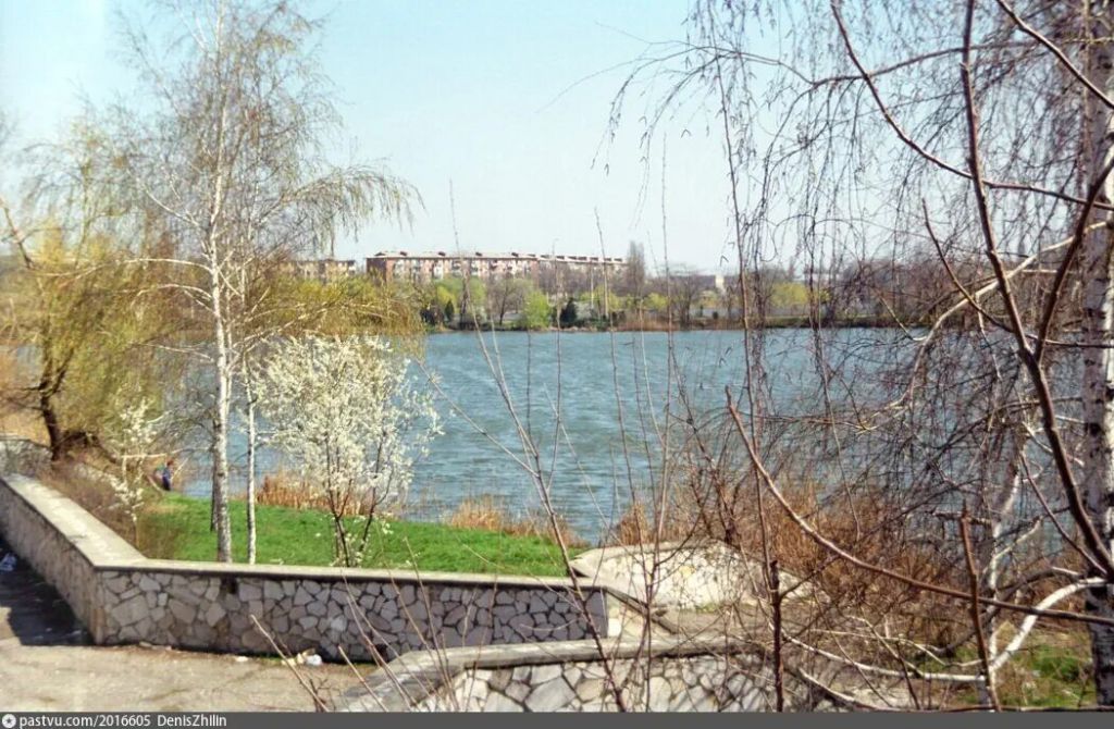 Фото дня