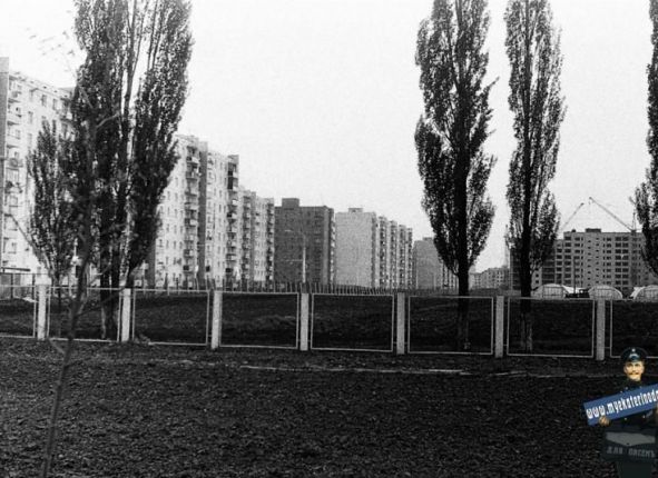 Фото дня