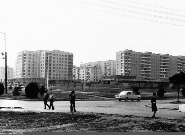 Фото дня