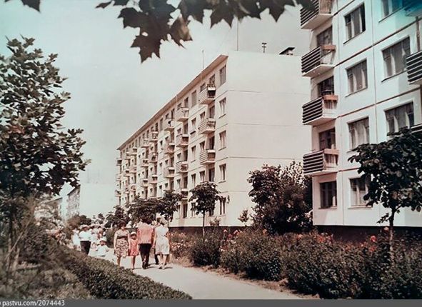 Фото дня