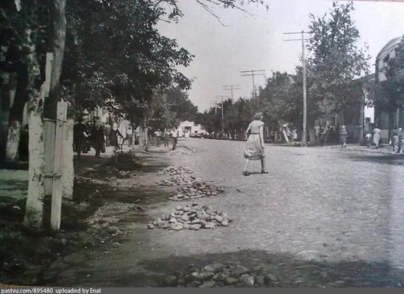 Фото дня