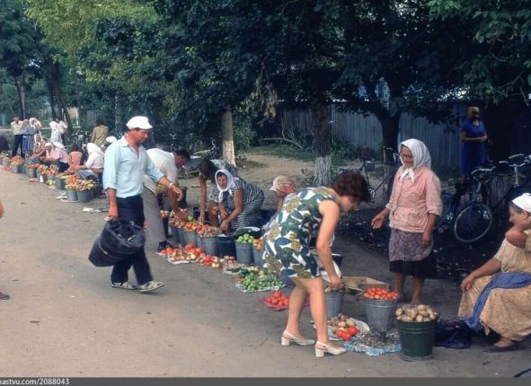 Фото дня